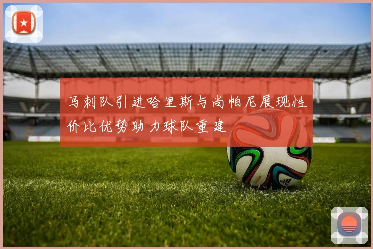马刺队引进哈里斯与尚帕尼展现性价比优势助力球队重建